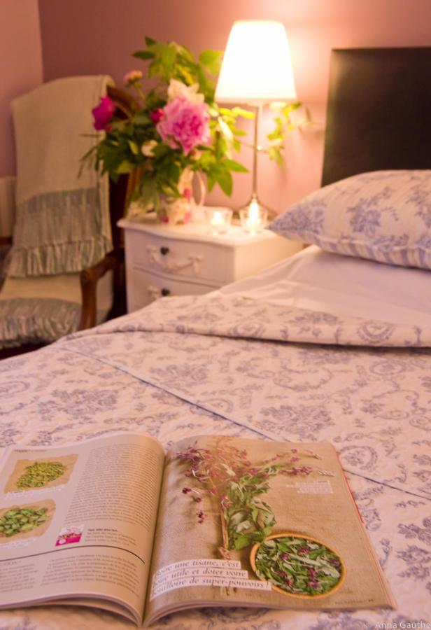 Le Cheval Blanc Bed & Breakfast Saint-Antonin Exterior foto